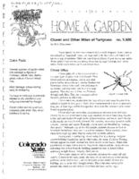Clover and other mites of turfgrass
