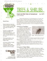 Insect and mite pests of honeylocust