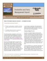 Beef stocker/yearling budget