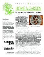Bat bugs, bed bugs, and relatives