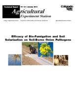 Efficacy of bio-fumigation and soil solarization on soil-borne onion pathogens