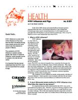 H1N1 influenza and pigs