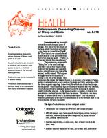Enterotoxemia, overeating disease of sheep and goats