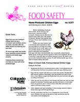 Home-produced chicken eggs