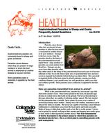 Gastrointestinal parasites in sheep and goats