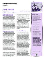 Credit reports