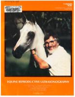 Equine reproductive ultrasonography
