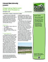 Diagnosing saline and sodic soil problems