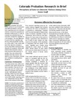 Perceptions of same-sex domestic violence among crisis center staff