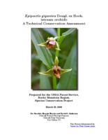 Epipactis gigantea Dougl. ex Hook. (stream orchid)