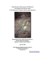 Calochortus flexuosus S. Watson (winding mariposa lily)