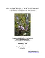 Salix candida Flueggé ex Wild. (sageleaf willow)