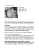 Plutonium health risks