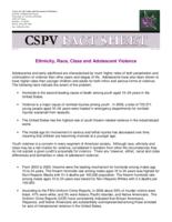 Ethnicity, race, class, and adolescent violence