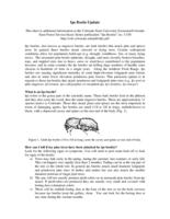 Ips beetle update