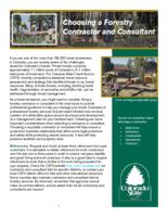 Choosing a forestry contractor and consultant