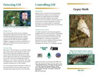 Gypsy moth : what you need to know about the threat to forests in Colorado