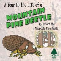 A year in the life of a mountain pine beetle