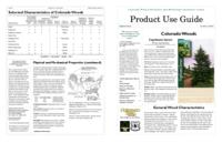 Colorado woods. Engelmann spruce