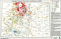 Colorado's primary forest insect and diseases in 2008
