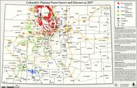 Colorado's primary forest insect and diseases in 2007
