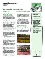 Gambel oak management