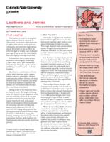 Leathers and jerkies