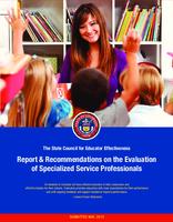 Report & recommendations on the evaluation of specialized service professionals