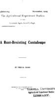 A rust-resisting cantaloupe