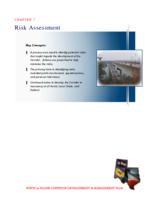 Ports to plains corridor development and management plan. Chapter 7: Risk Assessment