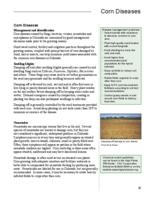 Best management practices for Colorado corn. Corn Diseases