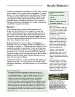 Best management practices for Colorado corn. Hybrid Selection