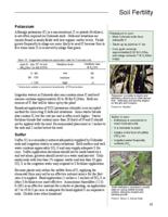 Best management practices for Colorado corn. Soil Fertility: Potassium