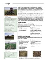 Best management practices for Colorado corn. Tillage