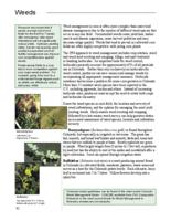 Best management practices for Colorado corn. Weeds