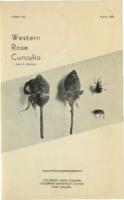Western rose curculio