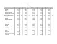 FY 2010-2011 budget balancing package. Department of Human Services - Summary Schedules