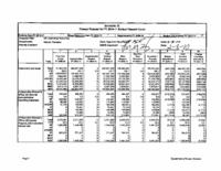 FY 2010-2011 budget balancing package. Department of Human Services - 5 Percent Operating Reduction