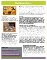 Cantaloupe facts