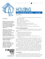 Home remodeling. Decision