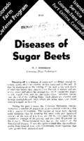 Diseases of sugar beets