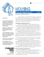 Buying and remodeling a small home