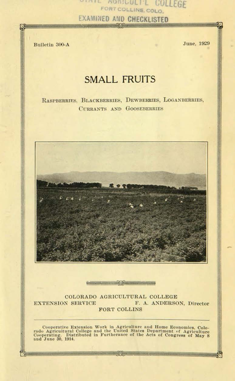 Small fruits : raspberries, blackberries, dewberries, loganberries, currants and gooseberries