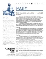 Child restraint in automobiles