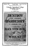 Destroy the common barberry : it spreads the black stem rust of wheat and other grains