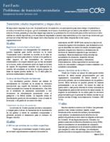Transición, edades importantes y etapas clave