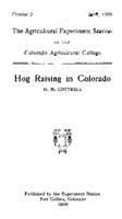 Hog raising in Colorado