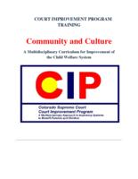 Community and culture : a multi-disciplinary curriculum for improvement of the child welfare system