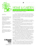 Attracting butterflies to the garden
