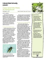 Insect and mite pests of honeylocust